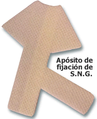 Apsito de Fijacin de la S.N.G.