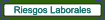 Prevenci�n de Riesgos Laborales