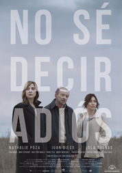 NO S DECIR ADIS (2017)