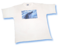Camiseta