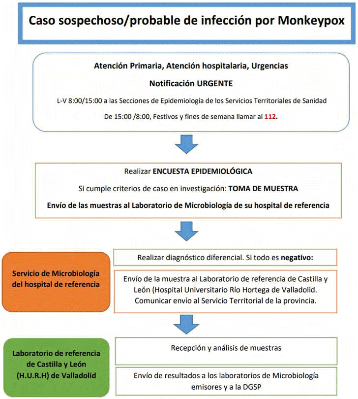 ALGORITMO DE ACTUACIONES ANTE UN CASO SOSPECHOSO/PROBABLE DE INFECCIN POR MONKEYPOX