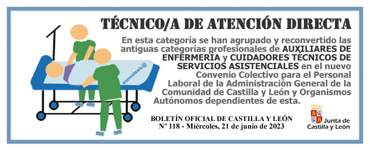Nueva categora profesional TCNICO/A DE ATENCIN DIRECTA