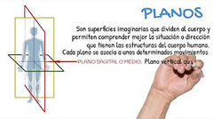 Ejes y Planos Corporales