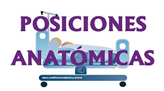 Posiciones Anat�micas