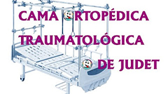 Tipos de Camas Hospitalarias